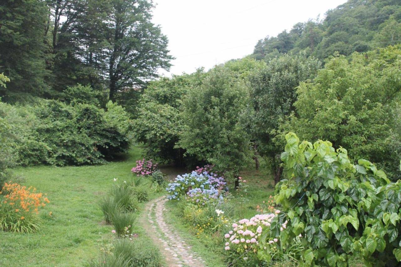 Фото Гостевого дома Место под солнцем Lidzava 9